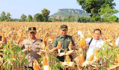 Dukung-Produksi-Pangan,-Satgas-Pangan-Polri-Dampingi-Dirjen-Tanaman-Pangan-Kementan-Panen-di-Tuban